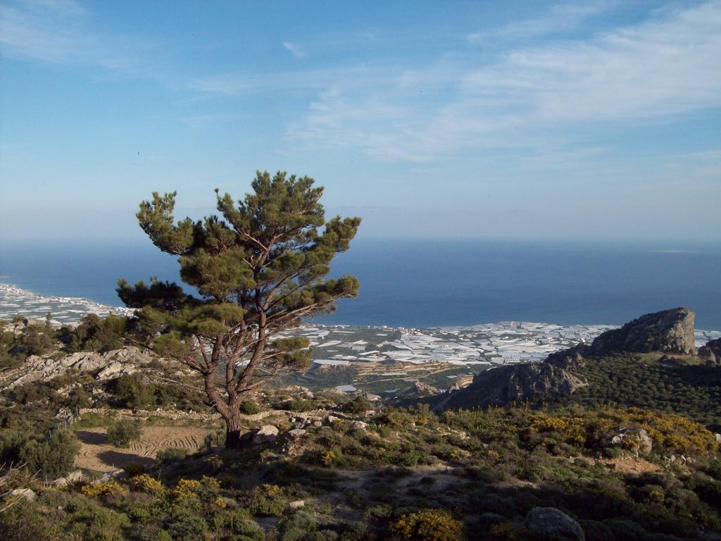 Diktynna Traditional Villas Anatolí Dış mekan fotoğraf